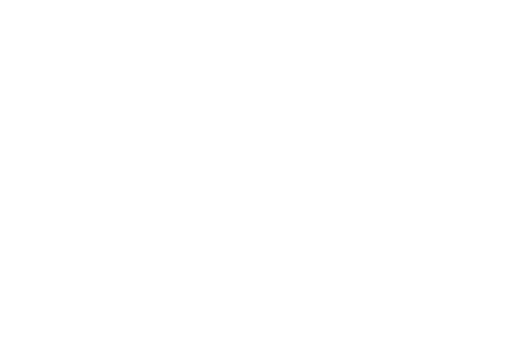 Pig Service Icon White